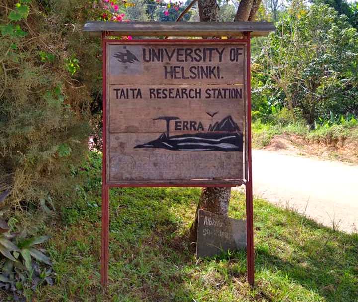 Taita Research Station（泰塔研究站）-非行家旅行-Africa Wild Wander
