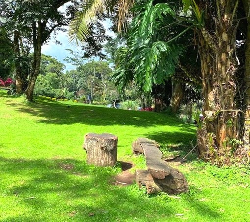 Kapsimotwa Gardens(住宿 / 休闲设施)-非行家旅行-Africa Wild Wander