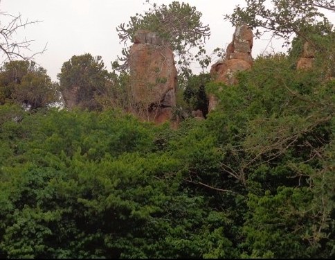 Mutomo Hill Plant Sanctuary（穆托莫山植物保护区）-非行家旅行-Africa Wild Wander