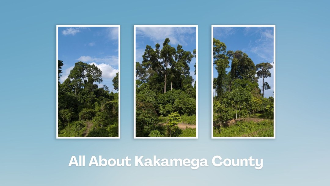 Kakamega County（卡卡梅加县）-非行家旅行-Africa Wild Wander
