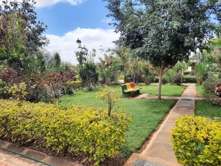 Wote Green Public Park(县域目的地)-非行家旅行-Africa Wild Wander