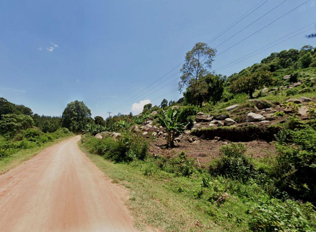 Nyaandui Forest（尼安杜伊森林）-非行家旅行-Africa Wild Wander
