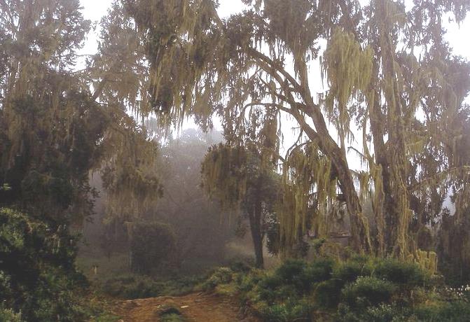 Forests in Kenya（水系 / 湖泊 / 海岸）-非行家旅行-Africa Wild Wander