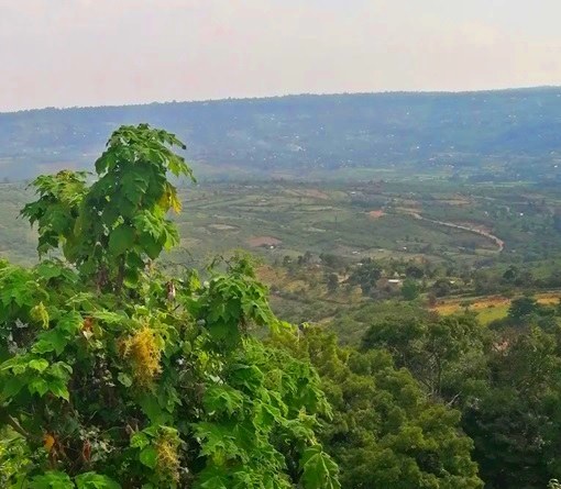 Chebulu Conservancy（县域目的地）-非行家旅行-Africa Wild Wander