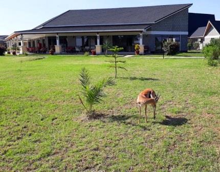 Stoni Athi Resort（Athi-Kapiti / Lukenya 生态）-非行家旅行-Africa Wild Wander