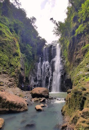 Ragia Falls（Aberdare 高山 / 徒步）-非行家旅行-Africa Wild Wander
