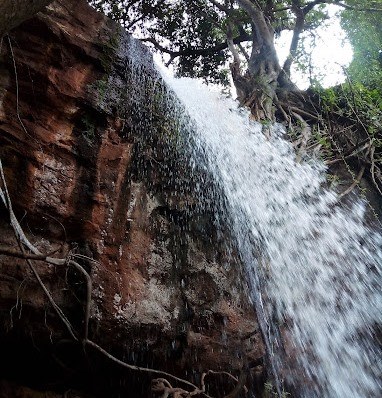 Karurina Falls（水系 / 湖泊 / 海岸）-非行家旅行-Africa Wild Wander