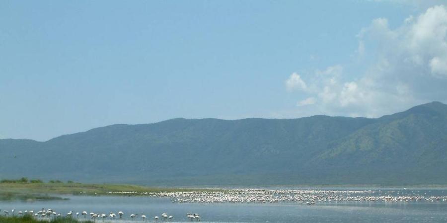 Maji-Moto Hot Springs-非行家旅行-Africa Wild Wander