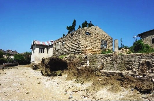 Wasini Ruins（海洋保护 / 海岛体验）-非行家旅行-Africa Wild Wander