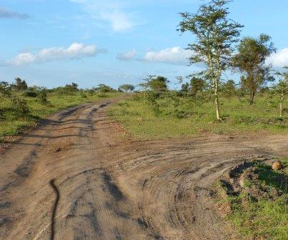 Maanzoni Sanctuary（Athi-Kapiti / Lukenya 生态）-非行家旅行-Africa Wild Wander