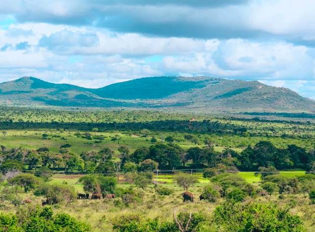 Taita Hills（泰塔山）-非行家旅行-Africa Wild Wander