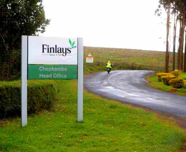 Finlays Tea Factory（茶业 / 农业产业）-非行家旅行-Africa Wild Wander