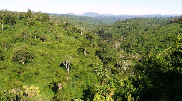 Forests in Kenya（水系 / 湖泊 / 海岸）-非行家旅行-Africa Wild Wander