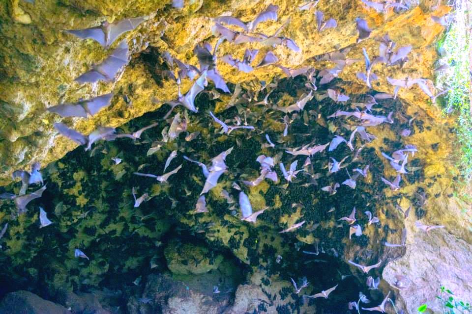 Inanduru Cave（伊南杜鲁洞穴）-非行家旅行-Africa Wild Wander