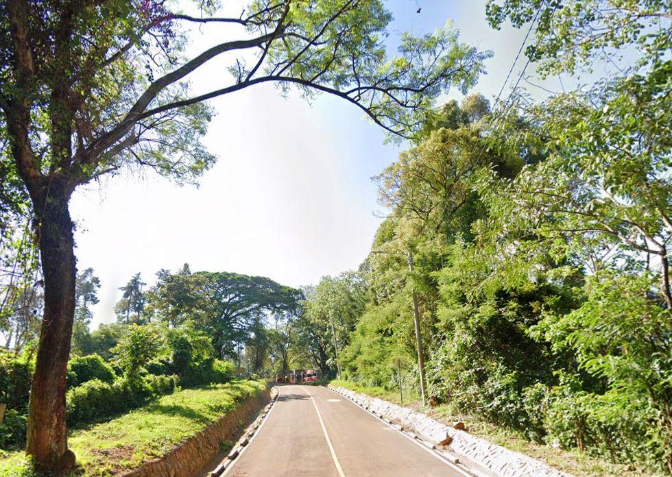 Kisii Sports Club（自然景观 / 徒步）-非行家旅行-Africa Wild Wander