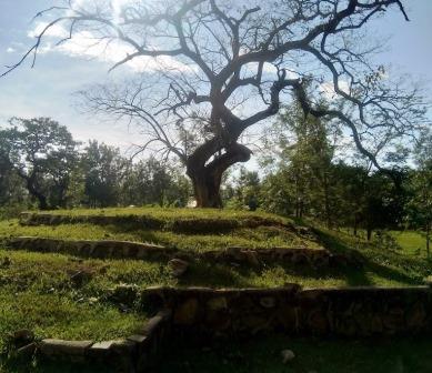 Nabongo Cultural Centre（纳邦戈文化中心）-非行家旅行-Africa Wild Wander