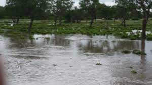 Lake Ishaqbini（水系 / 湖泊 / 海岸）-非行家旅行-Africa Wild Wander