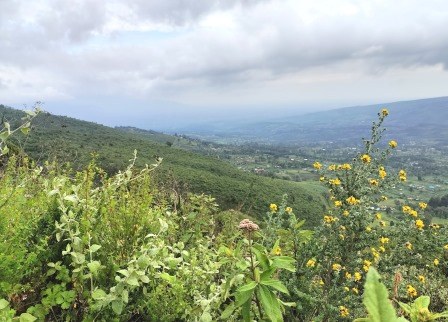 Table Mountain（Aberdare 高山 / 徒步）-非行家旅行-Africa Wild Wander