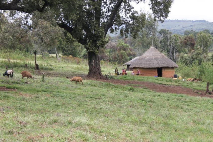 Chepkitale Forest（历史遗产 / 博物馆）-非行家旅行-Africa Wild Wander