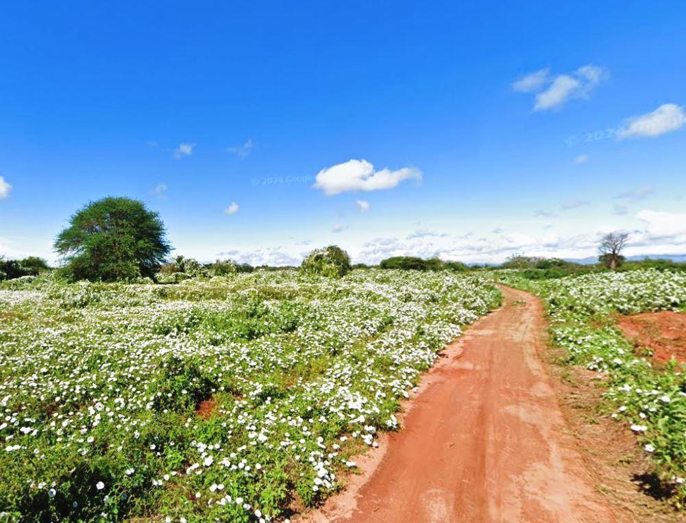 Ngai Ndethya Reserve(县域目的地)-非行家旅行-Africa Wild Wander