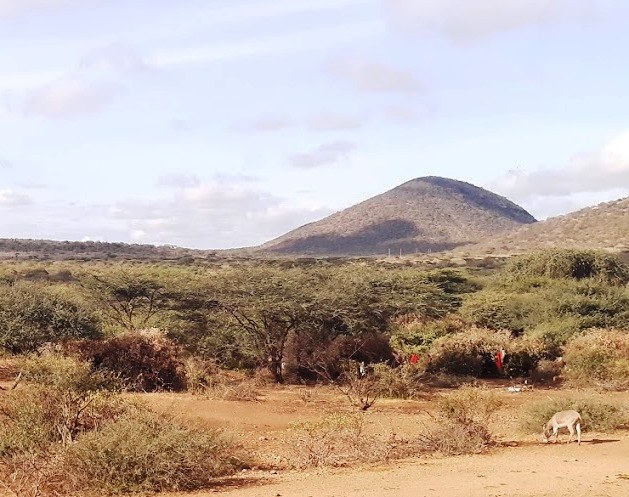 Harr Girrissa（水系 / 湖泊 / 海岸）-非行家旅行-Africa Wild Wander
