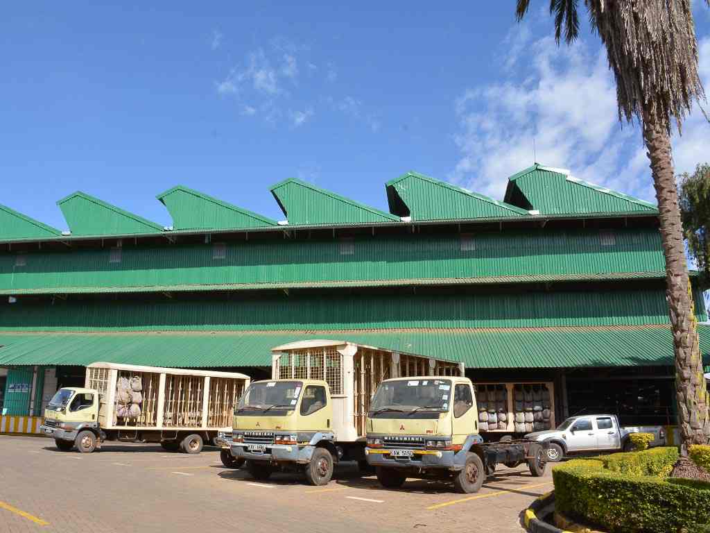 Nyeri County（县域概览）-非行家旅行-Africa Wild Wander