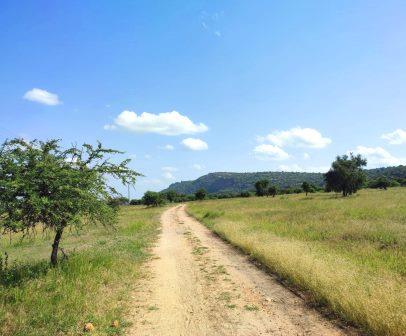 Lukenya Hills（卢肯亚山）-非行家旅行-Africa Wild Wander