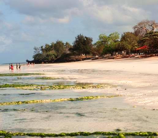 Pate Island（帕泰岛）-非行家旅行-Africa Wild Wander