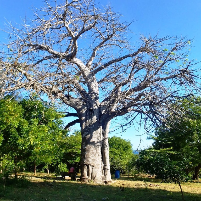 Mazingira Park(国家公园 / 保护区 / Safari)-非行家旅行-Africa Wild Wander