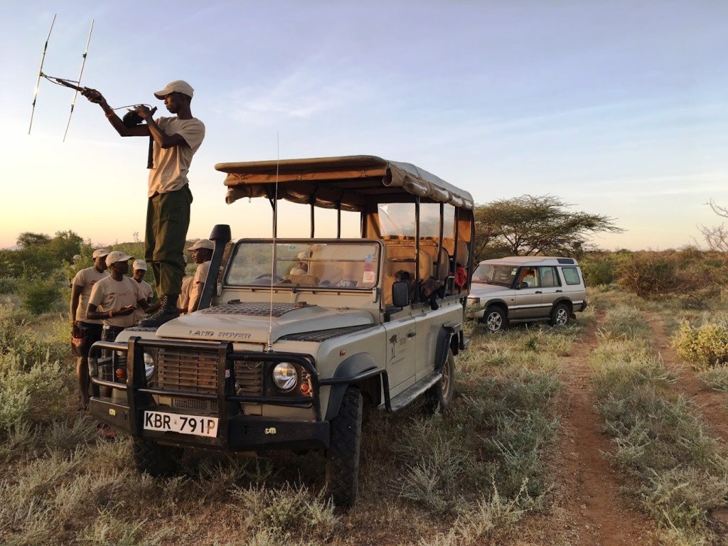 Saruni Rhino Camp（社区保护地 / 北部保护网络）-非行家旅行-Africa Wild Wander