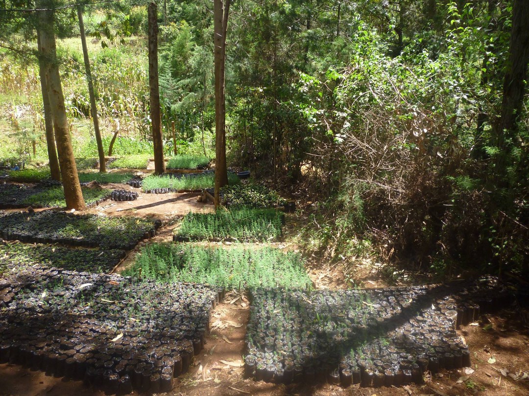 Morop-Tarambas Conservancy-非行家旅行-Africa Wild Wander