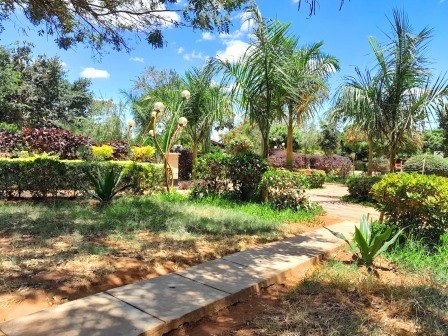 Wote Green Public Park(县域目的地)-非行家旅行-Africa Wild Wander