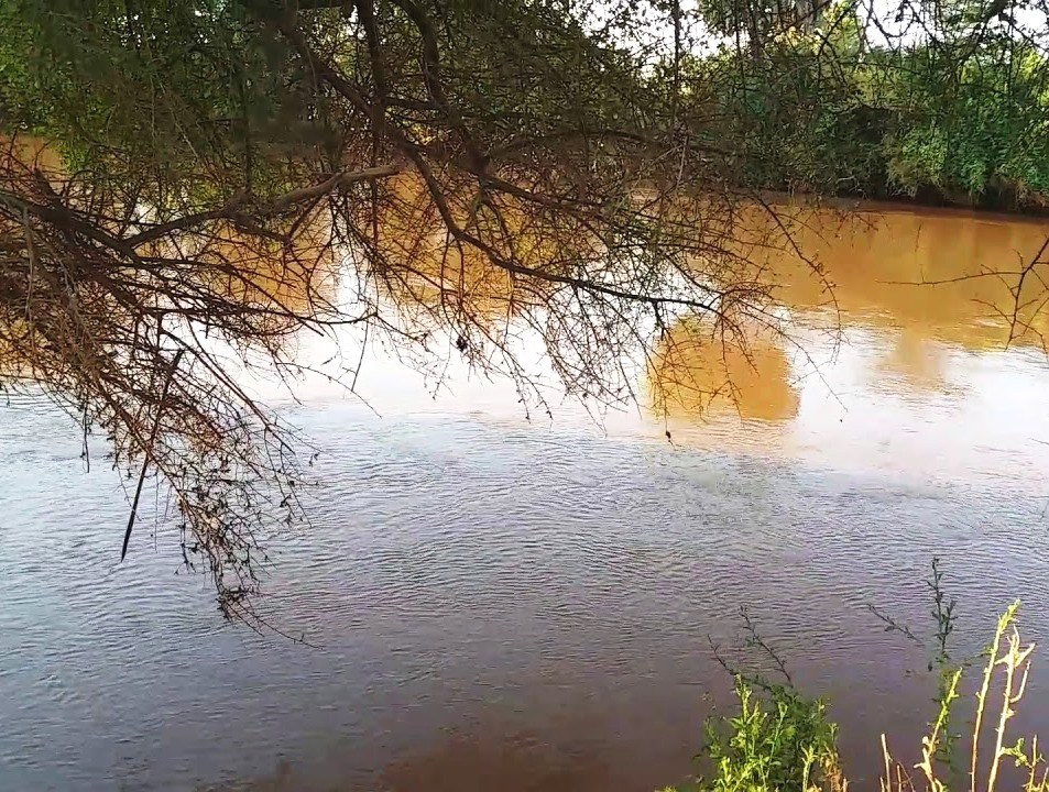 Daua River(水系 / 湖泊 / 海岸)-非行家旅行-Africa Wild Wander
