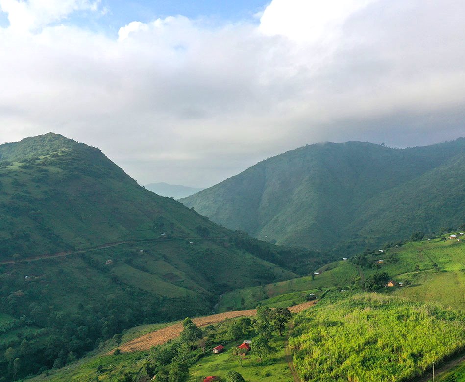 Nandi Hills（南迪丘陵）-非行家旅行-Africa Wild Wander