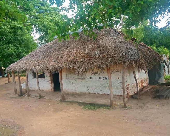 Old Town Witu（县域目的地）-非行家旅行-Africa Wild Wander