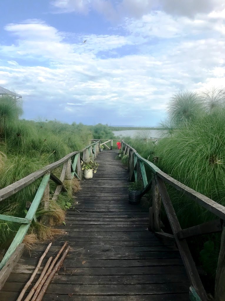Nature Parks（自然地貌 / 户外）-非行家旅行-Africa Wild Wander