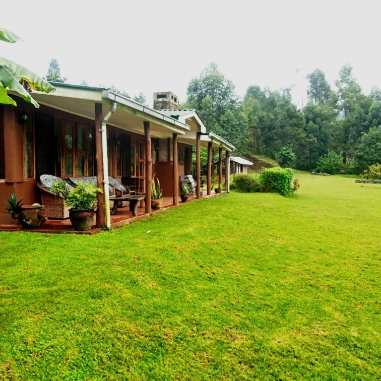 Mathioya River Lodge（河流 / 瀑布 / 水库）-非行家旅行-Africa Wild Wander