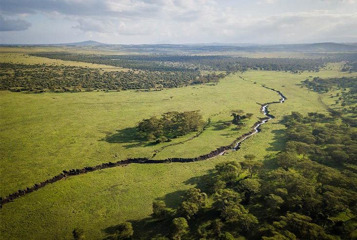 Westgate Conservancy（西门社区保护地）-非行家旅行-Africa Wild Wander