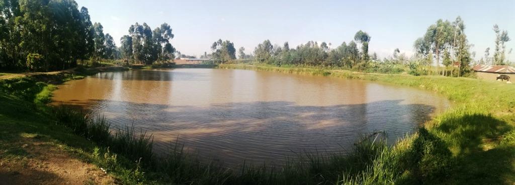 Kebharisia Dam（凯巴里西亚大坝）-非行家旅行-Africa Wild Wander