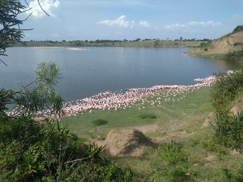 Lake Simbi Nyaima（水系 / 湖泊 / 海岸）-非行家旅行-Africa Wild Wander