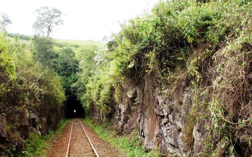Kiambu County（县域概览）-非行家旅行-Africa Wild Wander