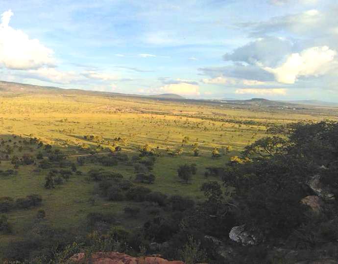 Athi Kapiti Conservancy（Athi-Kapiti / Lukenya 生态）-非行家旅行-Africa Wild Wander