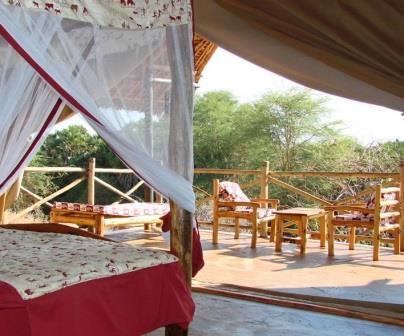 Man-Eaters Camp（食人狮营地）-非行家旅行-Africa Wild Wander