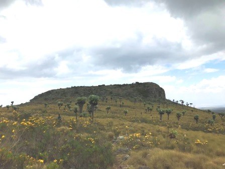 Table Mountain（Aberdare 高山 / 徒步）-非行家旅行-Africa Wild Wander