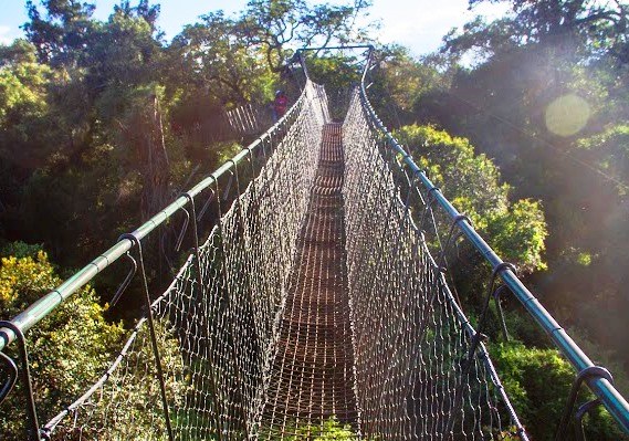 Ngare Ndare Forest(恩加雷恩达雷森林)-非行家旅行-Africa Wild Wander