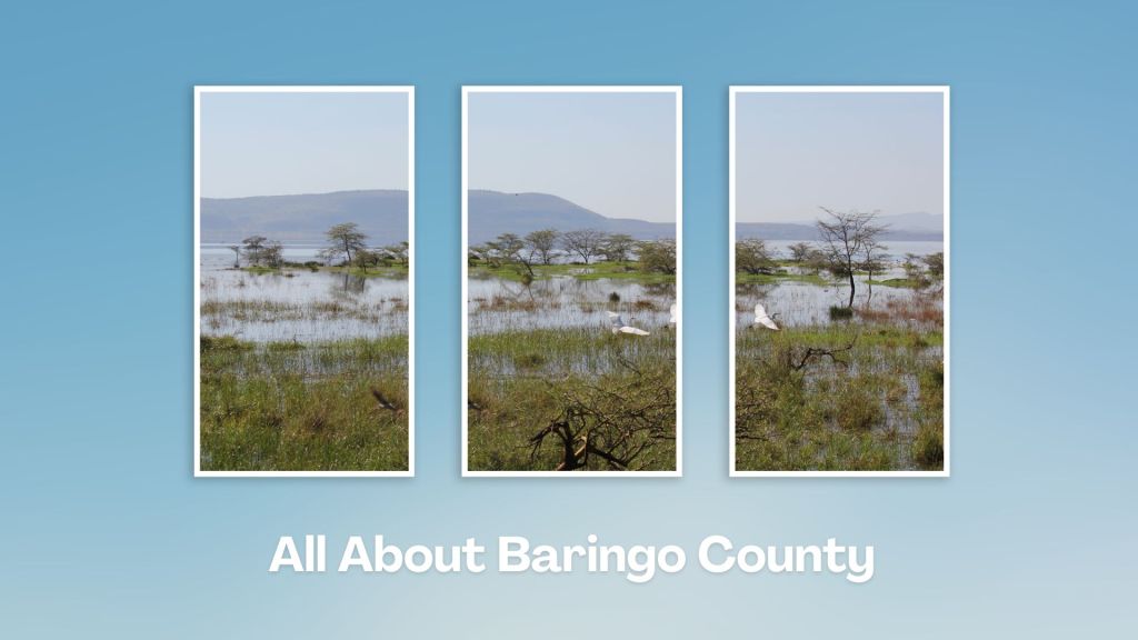 Ruko Conservancy-非行家旅行-Africa Wild Wander