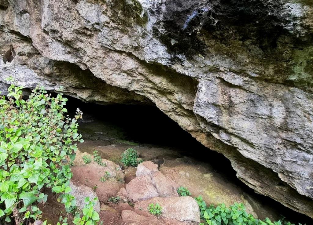 Kitum Cave（基图姆洞穴）-非行家旅行-Africa Wild Wander