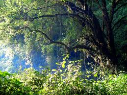Malakisi Falls（水系 / 湖泊 / 海岸）-非行家旅行-Africa Wild Wander
