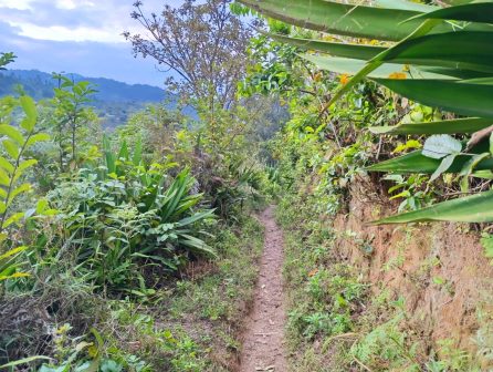 Kilangarenyi Falls（Taita Hills / 高地文化）-非行家旅行-Africa Wild Wander