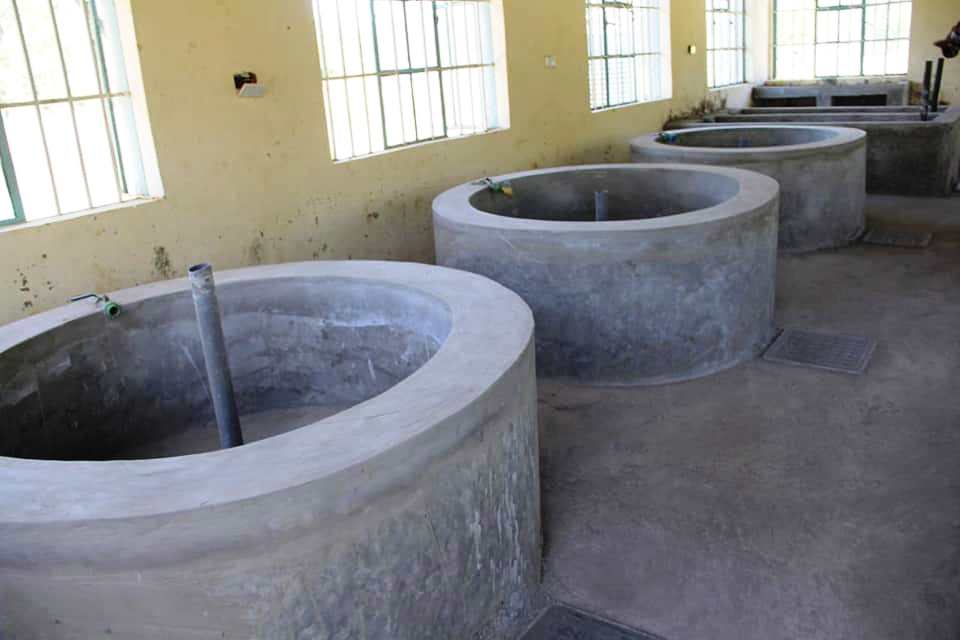 Mwitoko Fish Farm（姆维托科鱼场）-非行家旅行-Africa Wild Wander